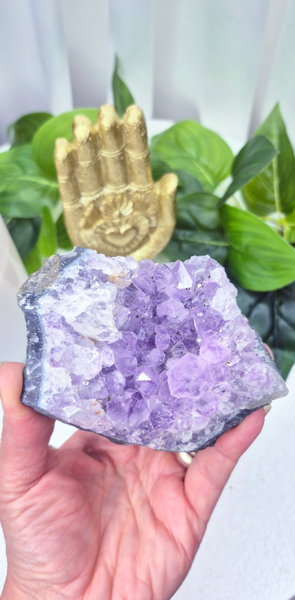 Raw Brazilian Amethyst Cluster #F