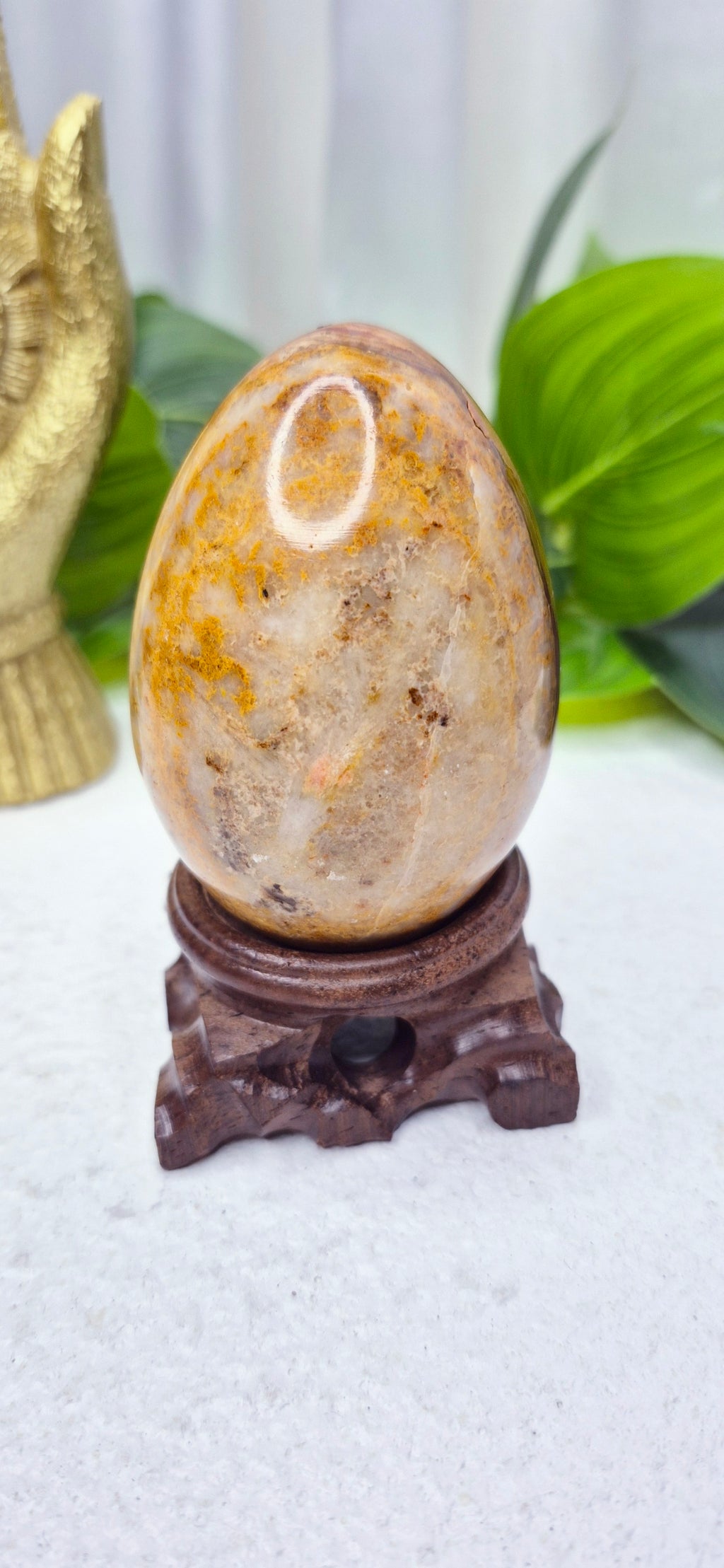 Mexican Crazy Lace Agate Carving on Rustic Wooden Stand