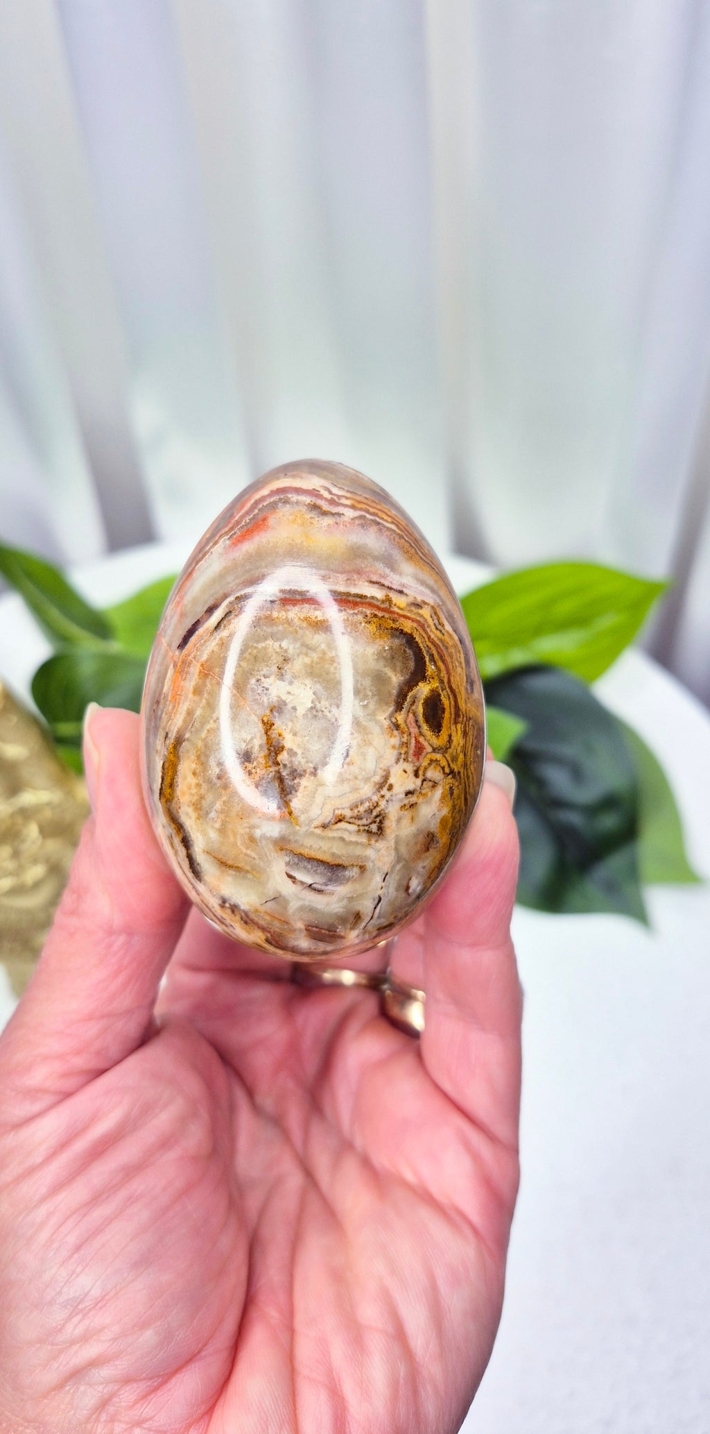 Mexican Crazy Lace Agate Carving on Rustic Wooden Stand