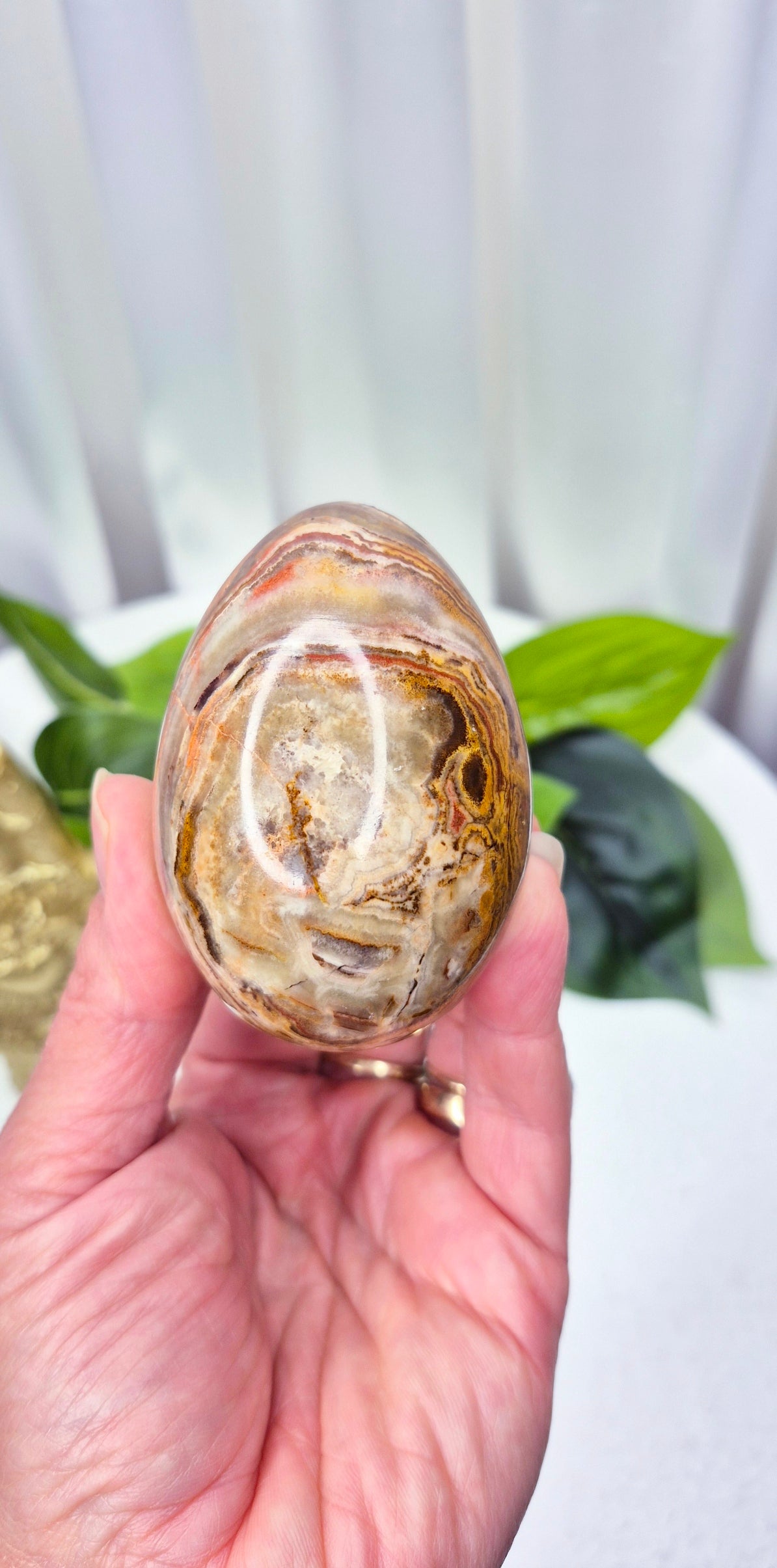 Mexican Crazy Lace Agate Carving on Rustic Wooden Stand