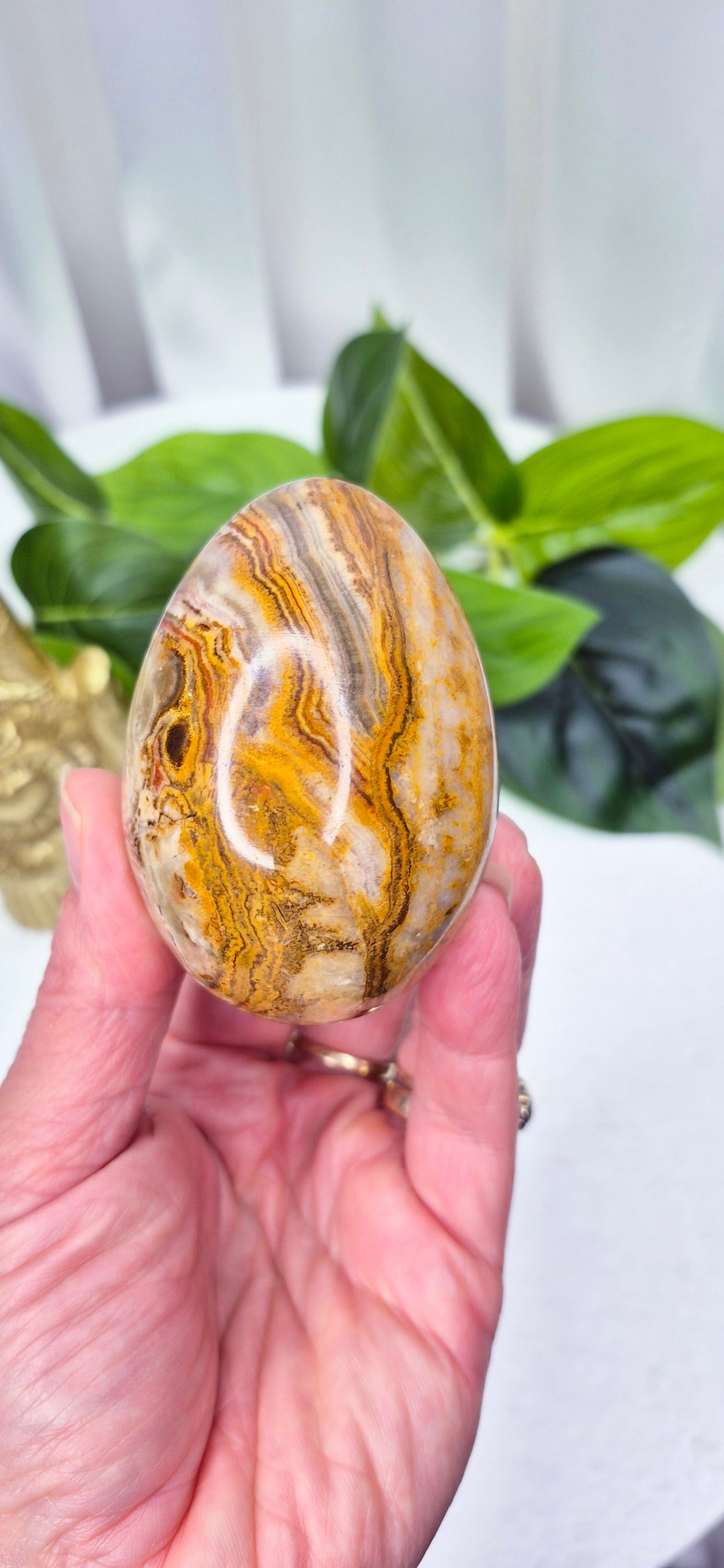 Mexican Crazy Lace Agate Carving on Rustic Wooden Stand