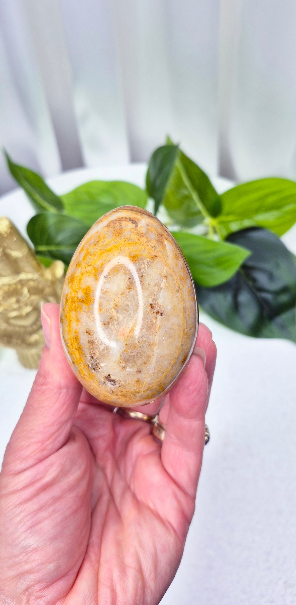 Mexican Crazy Lace Agate Carving on Rustic Wooden Stand