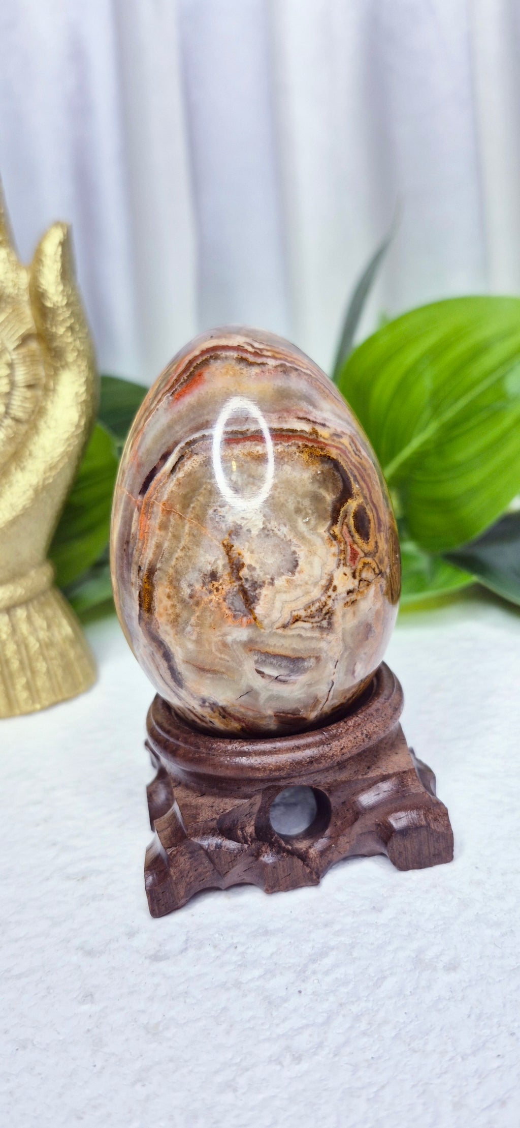 Mexican Crazy Lace Agate Carving on Rustic Wooden Stand