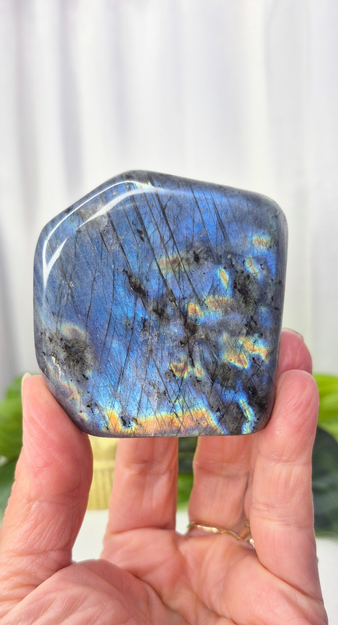 Labradorite Freeform (Small)