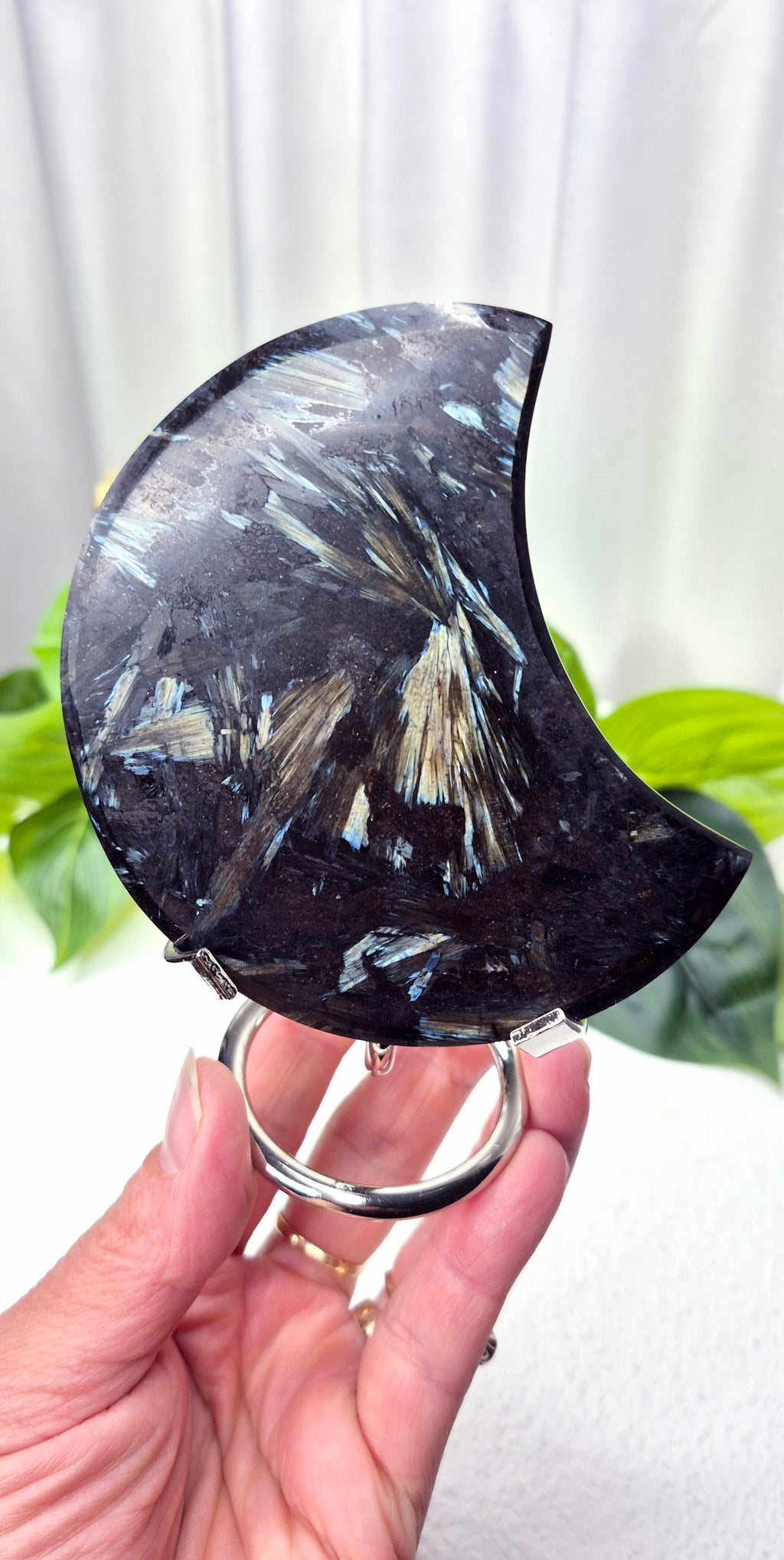 Arfvedsonite Crescent Moon on Stand