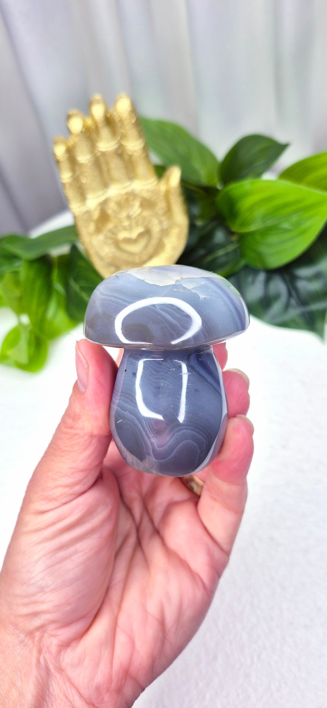 Orcha Agate Toadstool