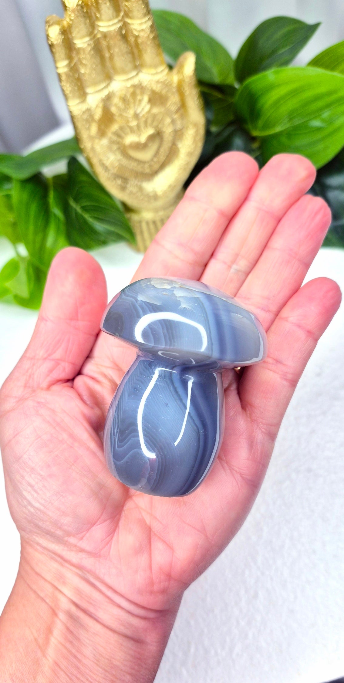 Orcha Agate Toadstool