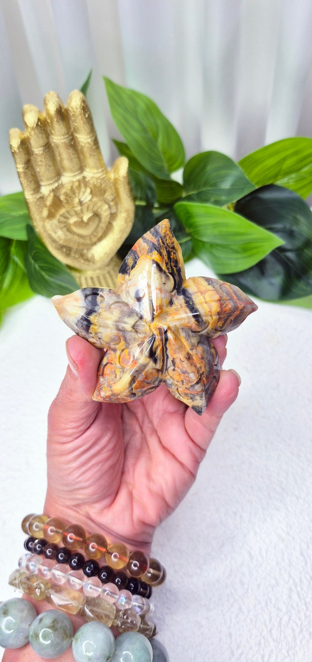 Mexican Crazy Lace Agate Star Fish Carving