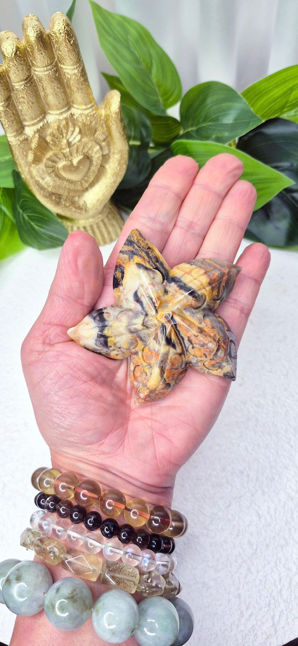 Mexican Crazy Lace Agate Star Fish Carving