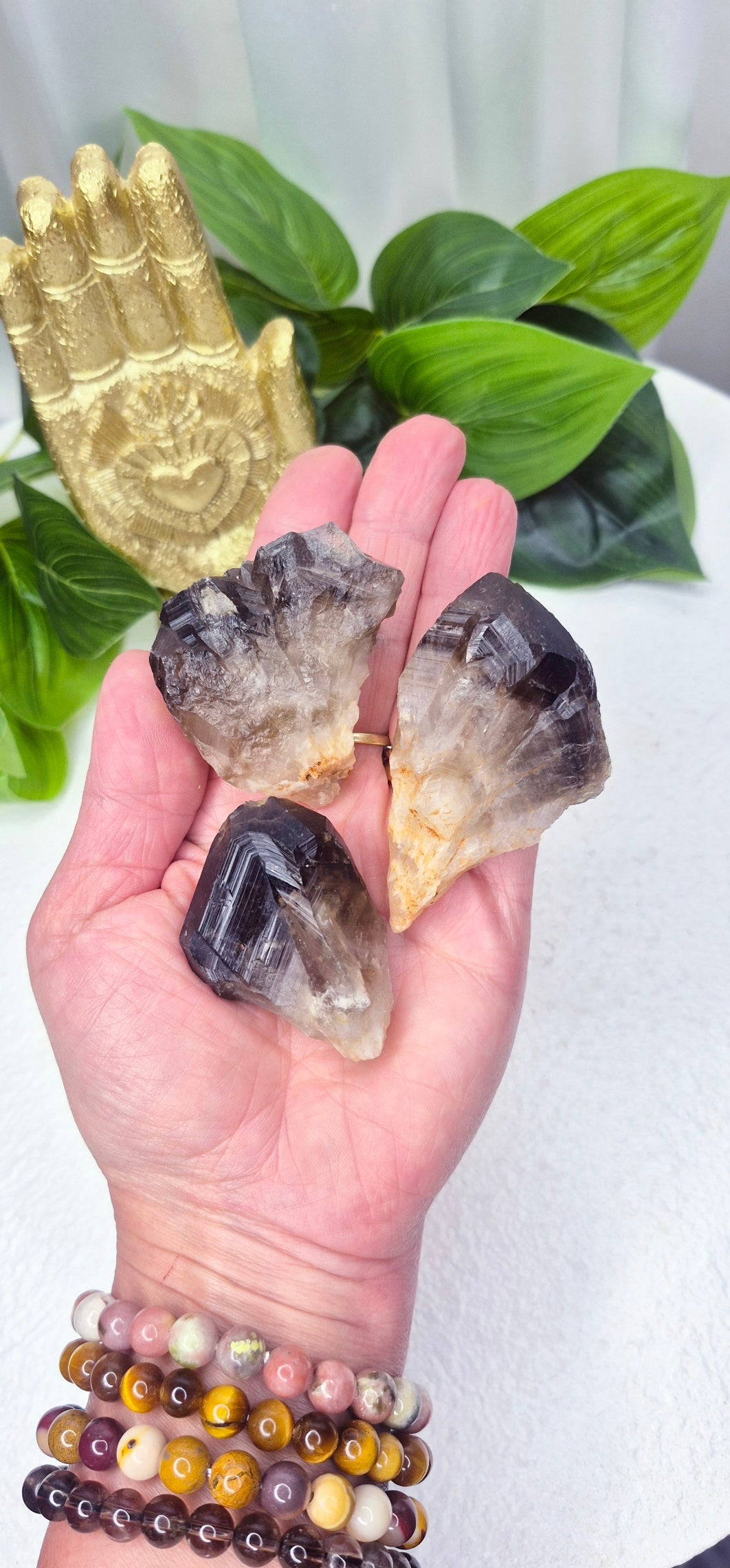 Smoky Quartz Raw Dog Tooth