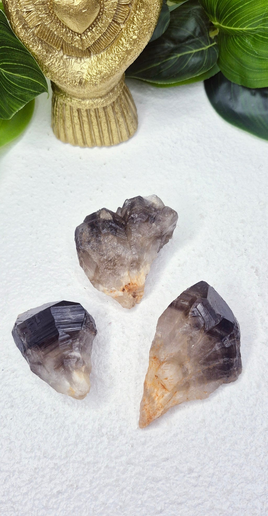 Smoky Quartz Raw Dog Tooth