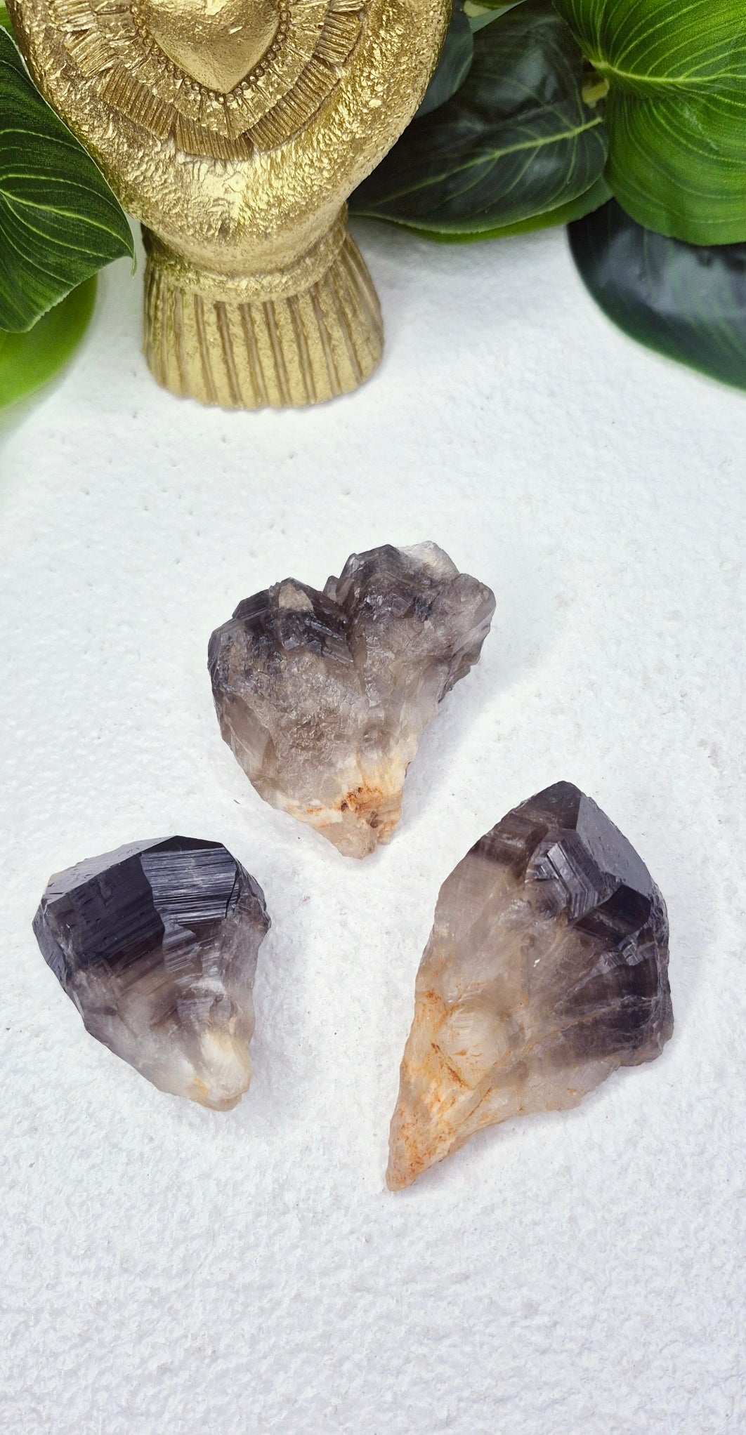Smoky Quartz Raw Dog Tooth