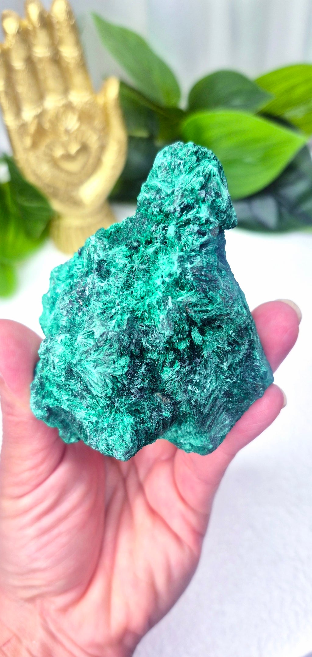 Statement Silky Malachite Specimen on Stand