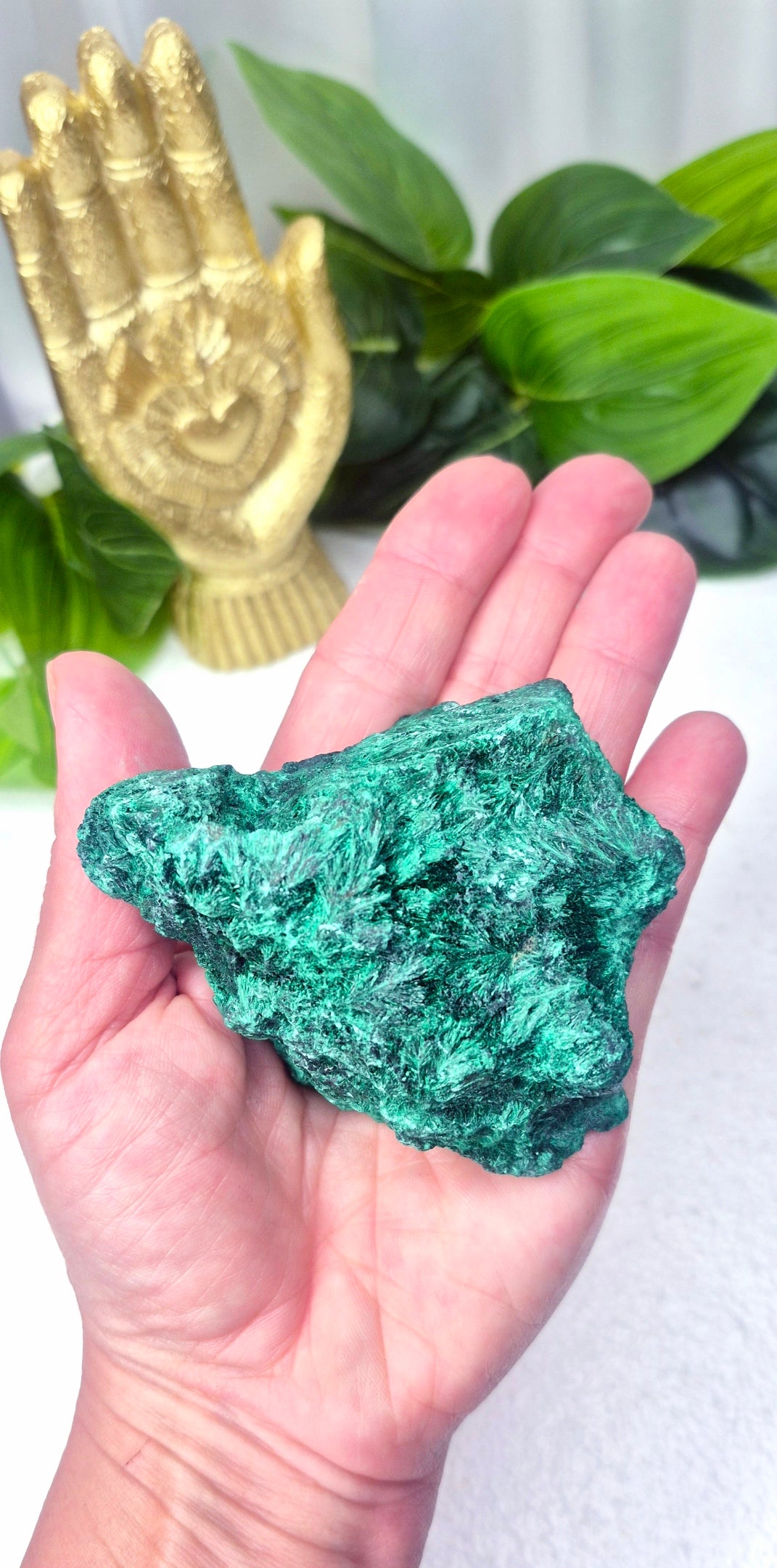 Statement Silky Malachite Specimen on Stand