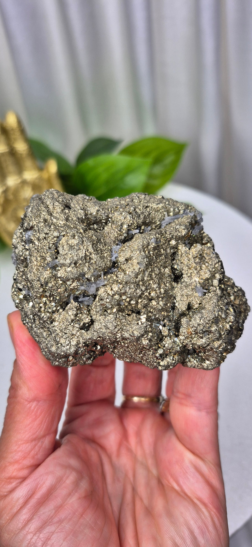 Pyrite Cluster #B